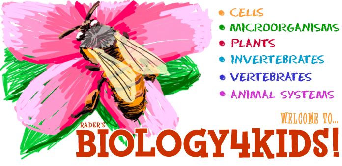 Biology 4 Kids
